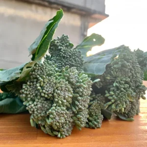 青花筍 【400g/包】